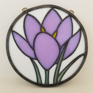 Canadian Wild Flower "Crocus"