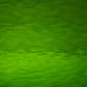 MEDIUM GREEN ROUGH ROLLED SP123RR