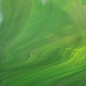 OGT Dark Green White 327-6S-F