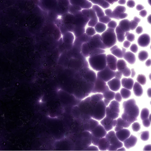 Gold Purple Transparent Striker Fusible 90 001334-0003