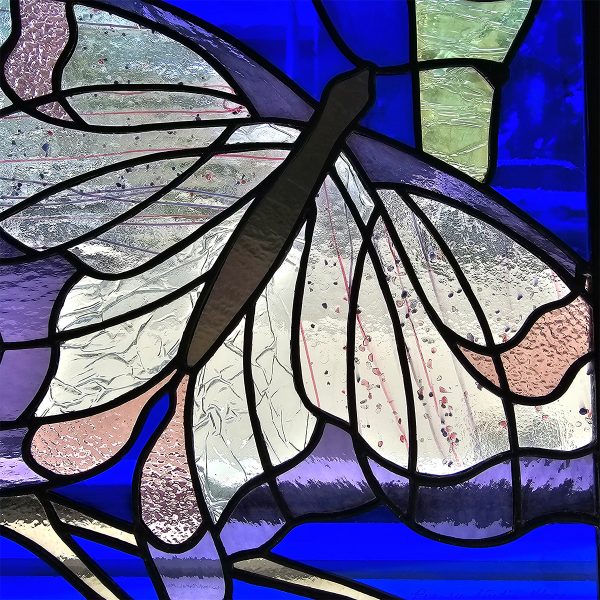 Butterfly (1)