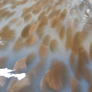 Hand Blown Fremont AV P2 194 White Opal with Gold Aventurine