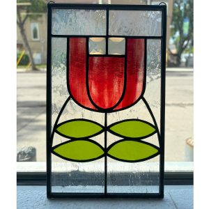Beginner Tulip