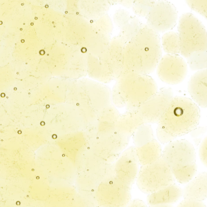 Light Amber Transparent Coarse Frit 001437-0003-F-P005