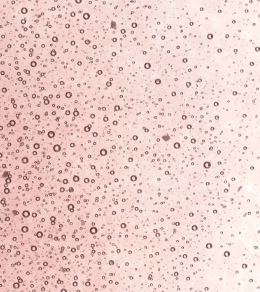 Light Plum Transparent Fine Frit 001405-0001-F-P001