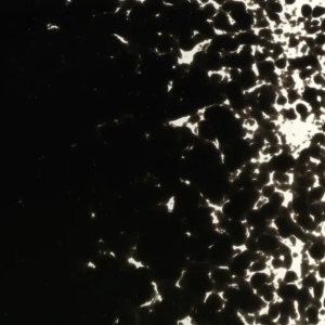 Stiff Black Opalescent Fine Frit 000101-0001-F-P001
