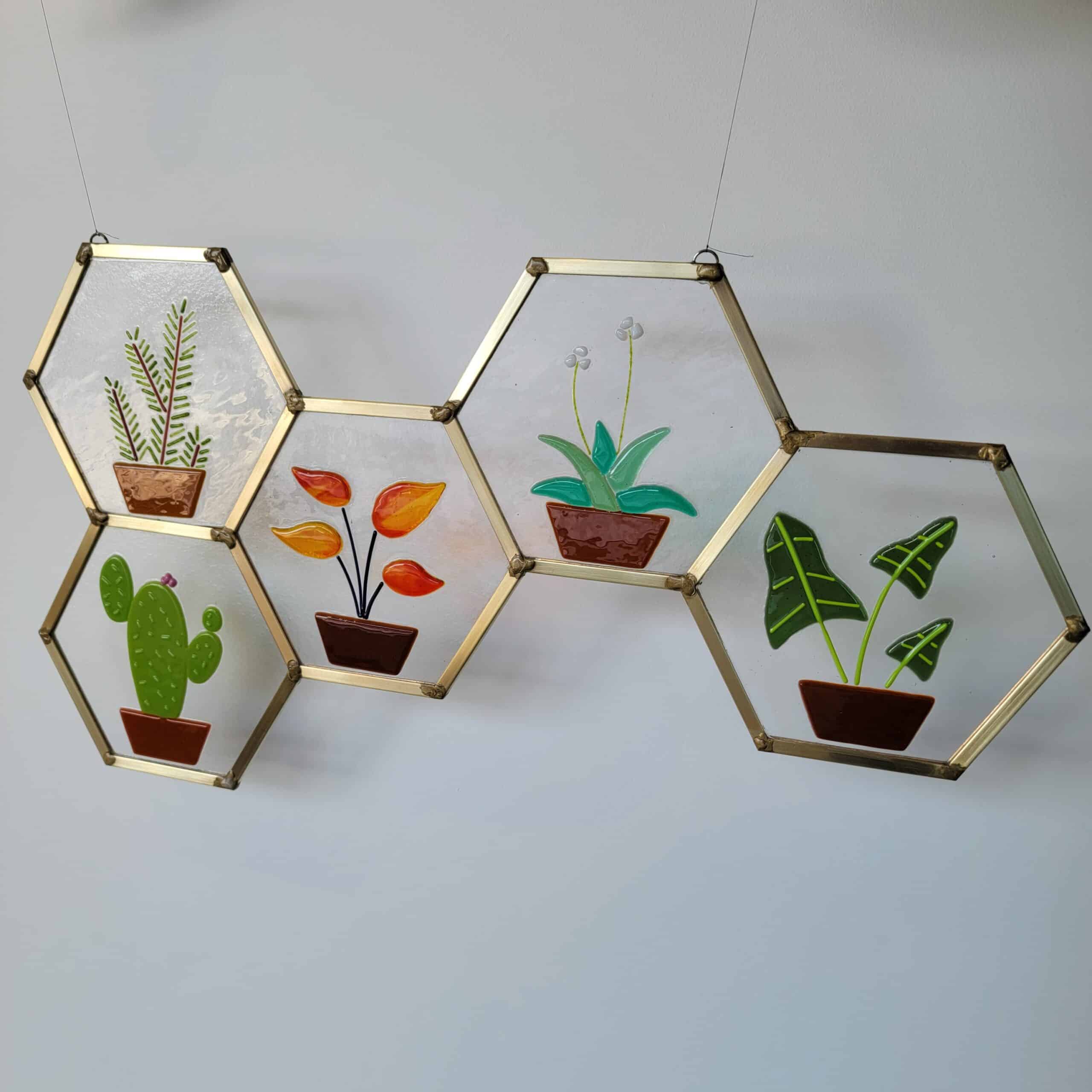 Featured image for “Honey Comb House Plants”