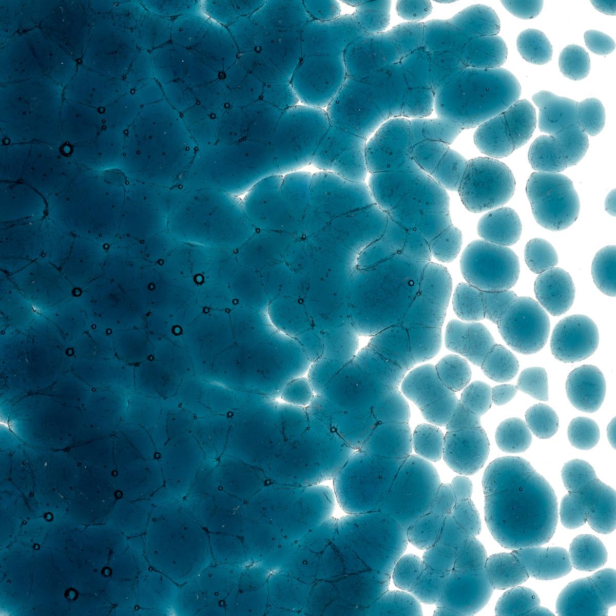 Featured image for “Aquamarine Blue Transparent, Coarse Frit 001108-0003-F_01”