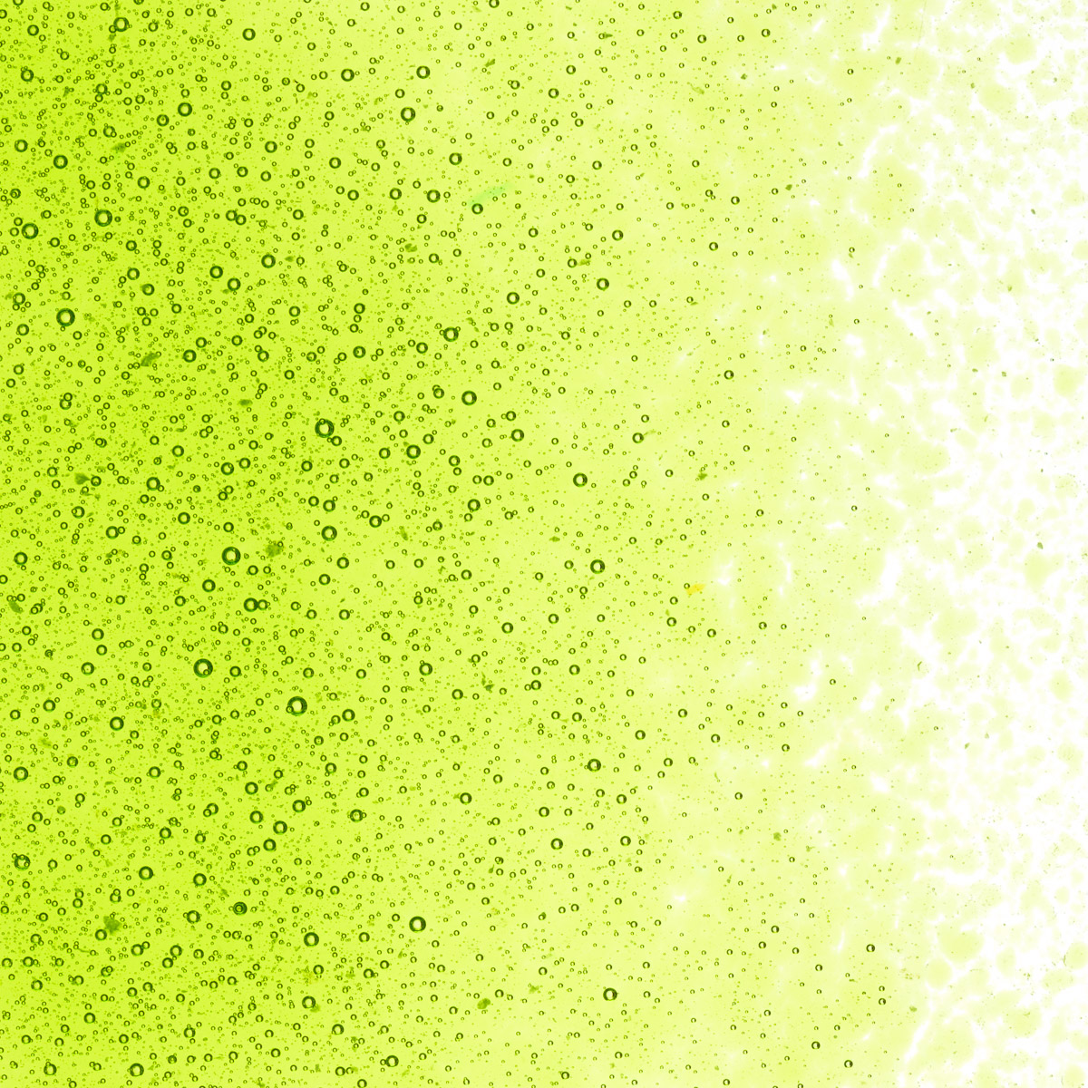 Featured image for “Spring Green Transparent Fine Frit 001426-0001-F_01”