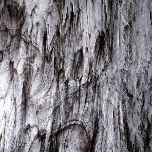 Featured image for “CLEAR/BLACK STREAKY 002100-0000”
