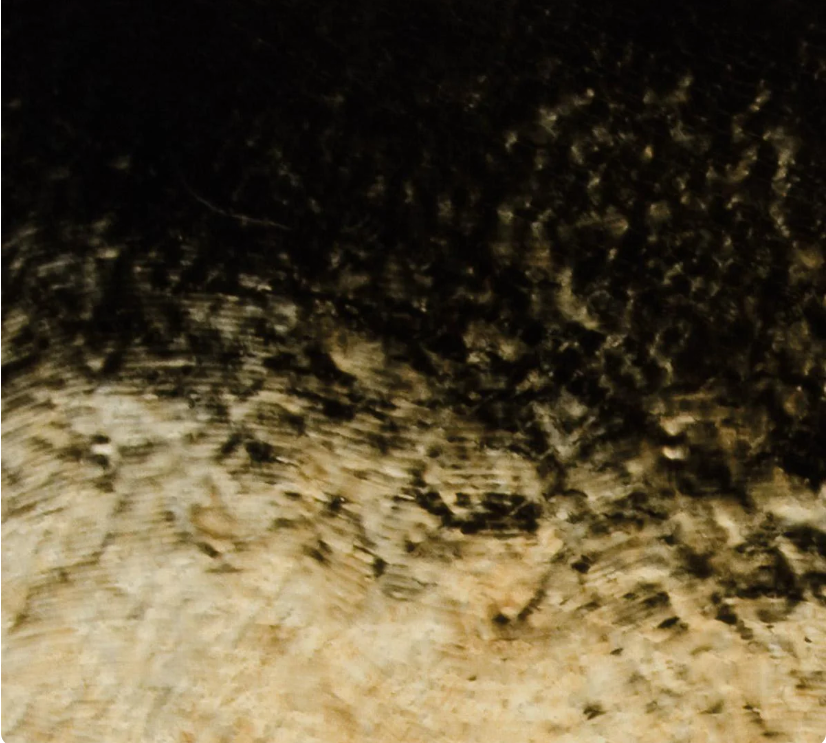 Featured image for “Black Opalescent Gold Iridescent 000100-0038-F”