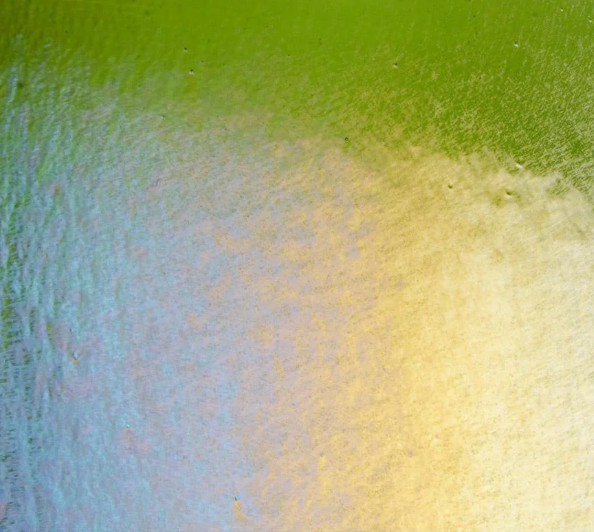 Featured image for “Fern Green Transparent Rainbow Iridescent BU 001207-0031-F”
