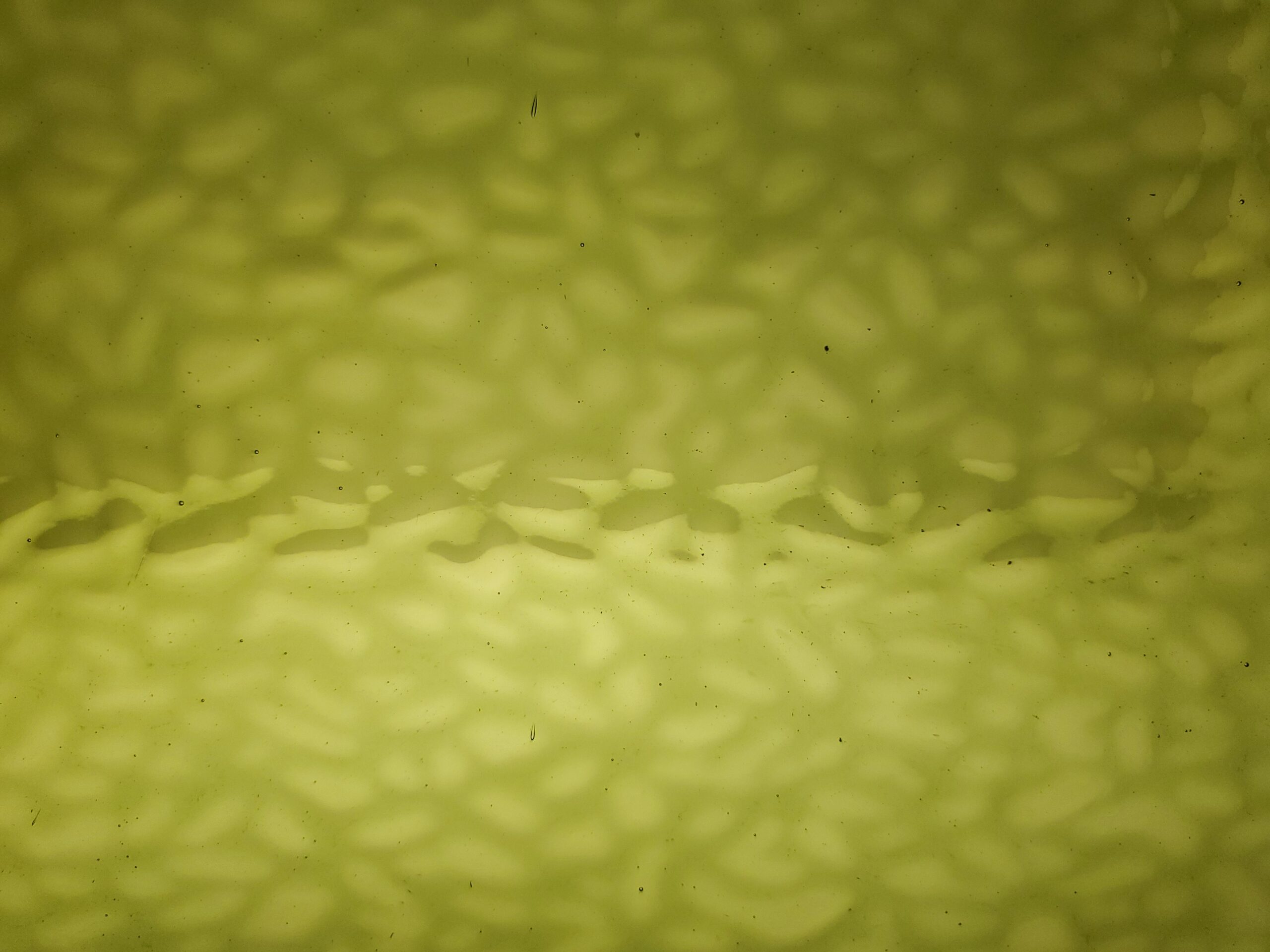 Featured image for “SAGE GREEN ENGLISH MUFFLE EM4907”