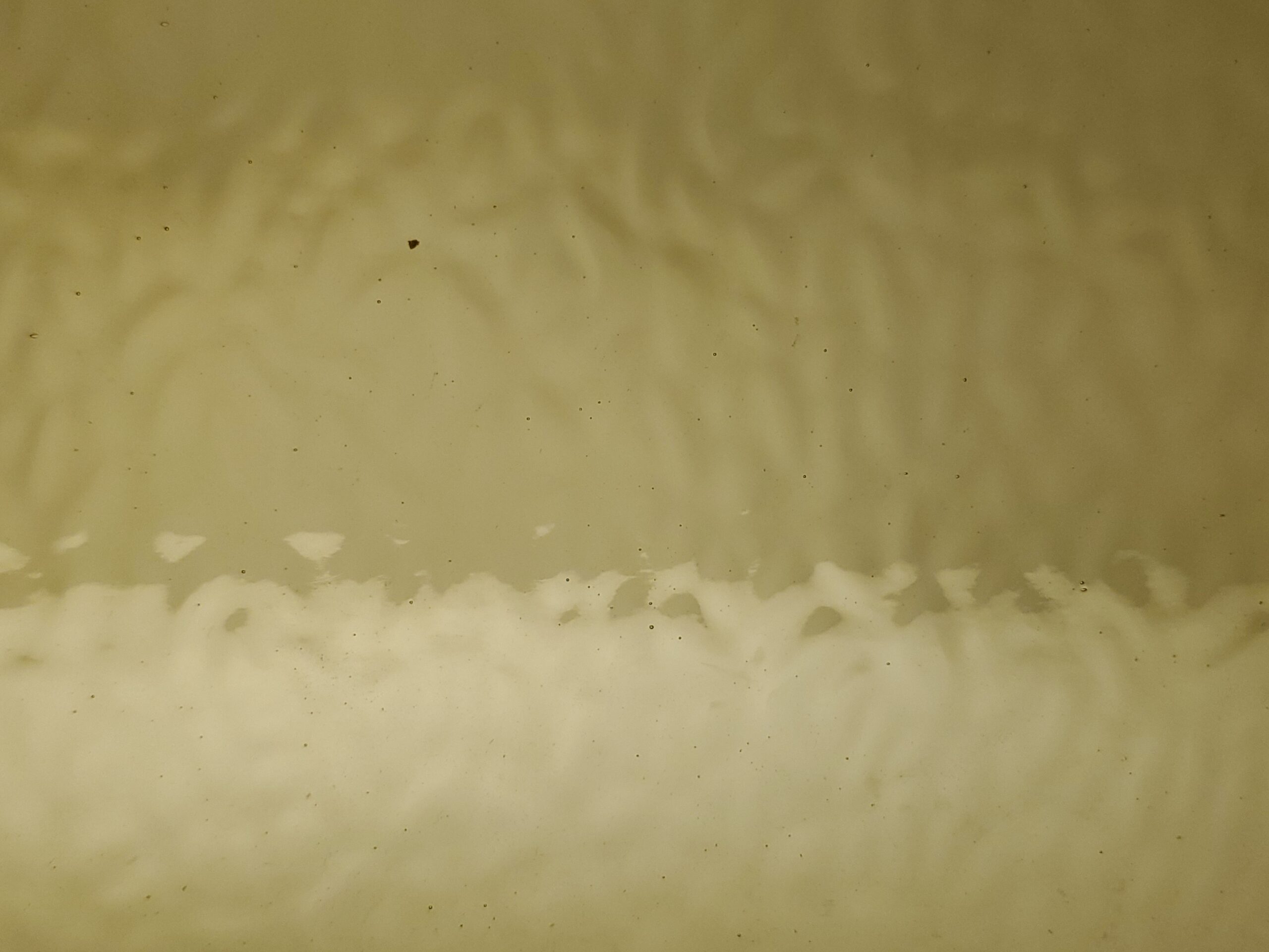 Featured image for “FLAXEN TINT ENGLISH MUFFLE EM4906”