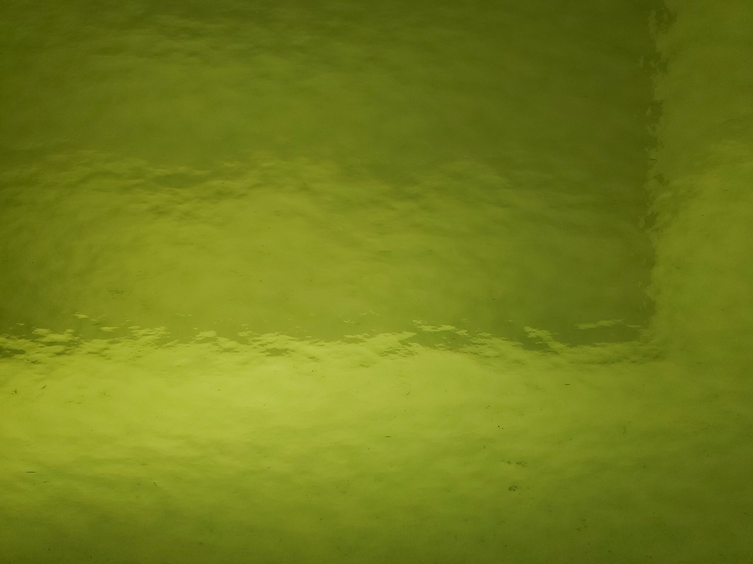 Featured image for “LIGHT GREEN ROUGH ROLLED FUSIBLE 96 OGT121RR-F”