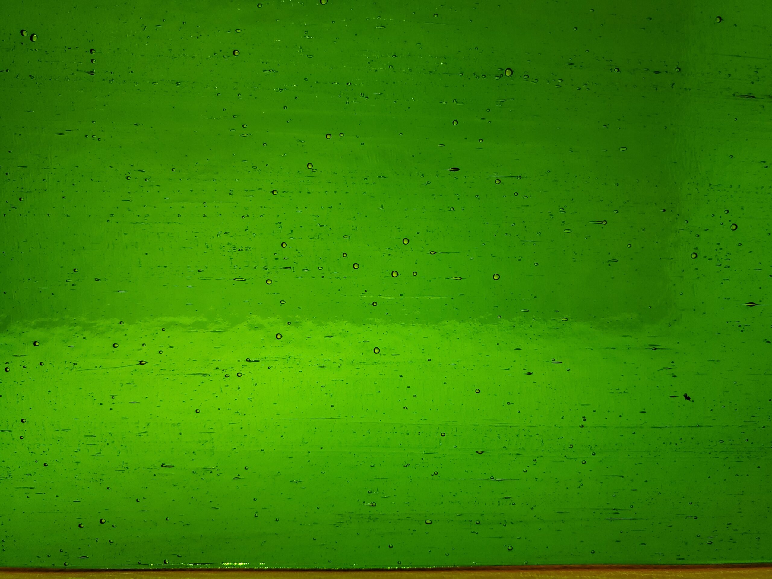 Featured image for “DARK GREEN SEEDY PW343SDY”