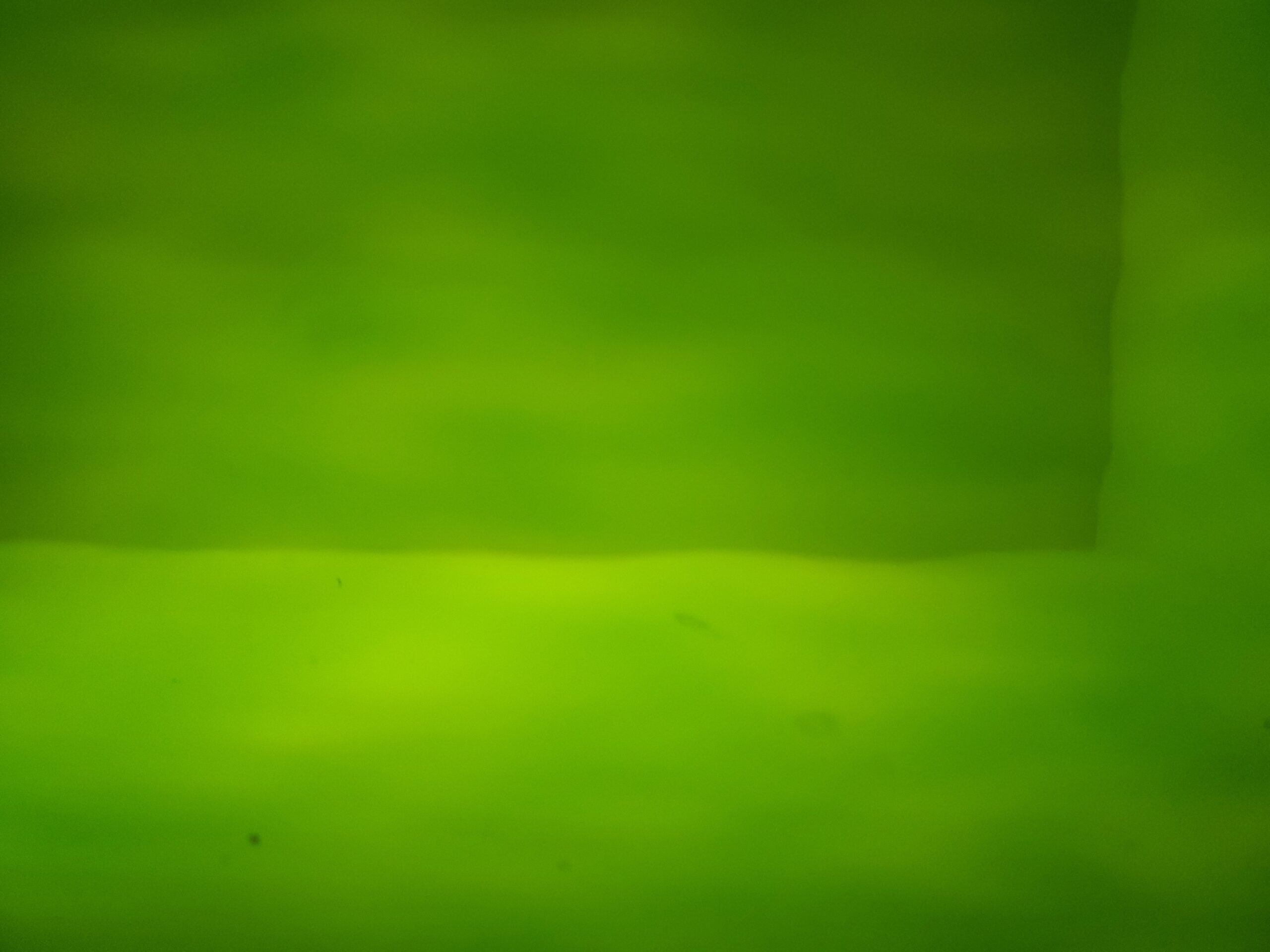 Featured image for “MEDIUM GREEN WATERGLASS OGT123W-F”