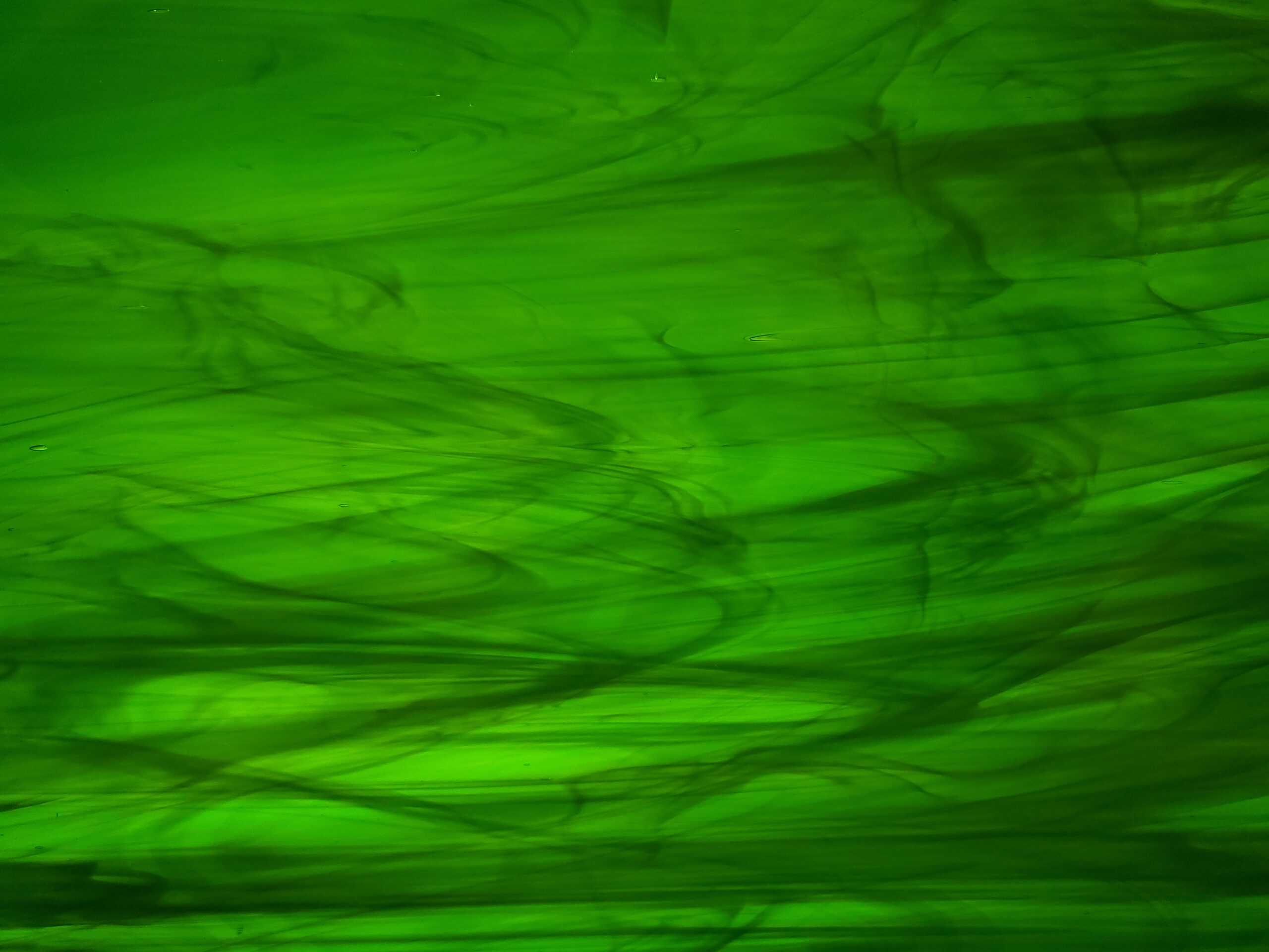 Featured image for “DARK GREEN/WHITE WISPY FUSIBLE 96 OGT329.6-F”