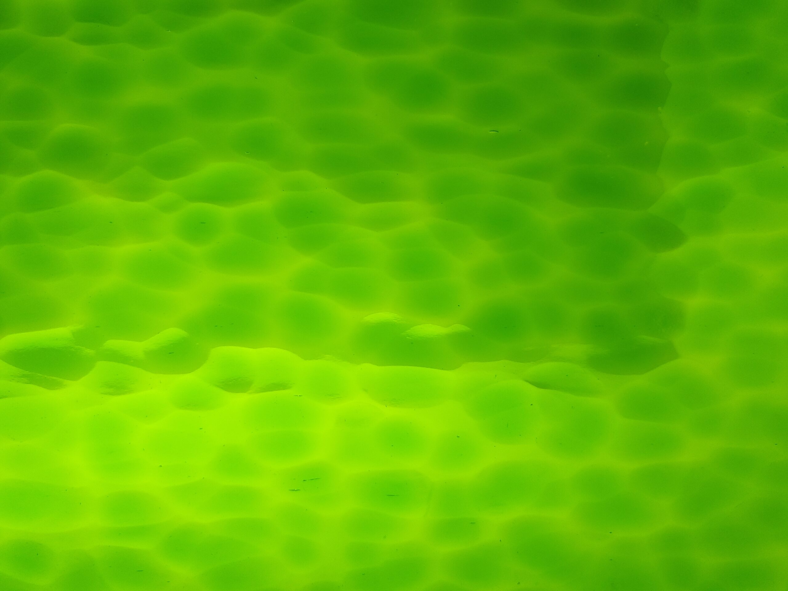 Featured image for “MEDIUM GREEN HAMMERED OGT123HF96”