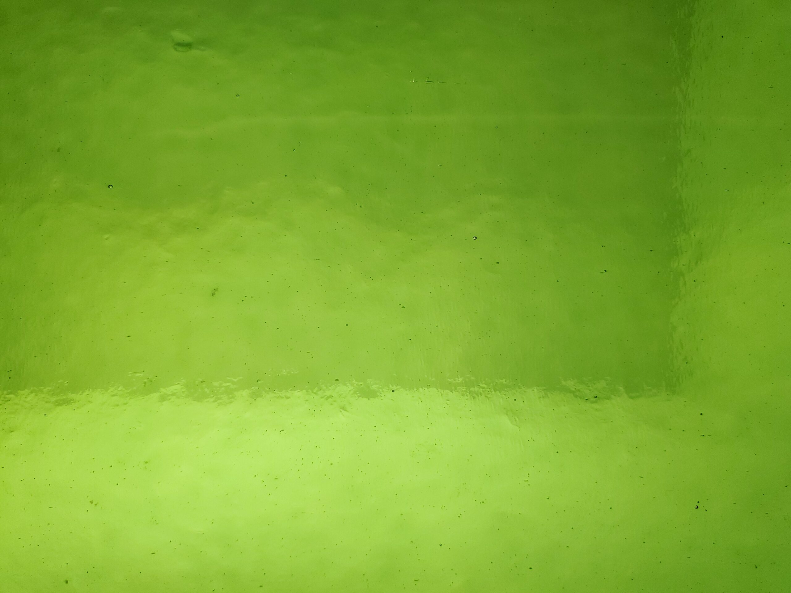 Featured image for “DARK YELLOW GREEN SMOOTH PW319DR”