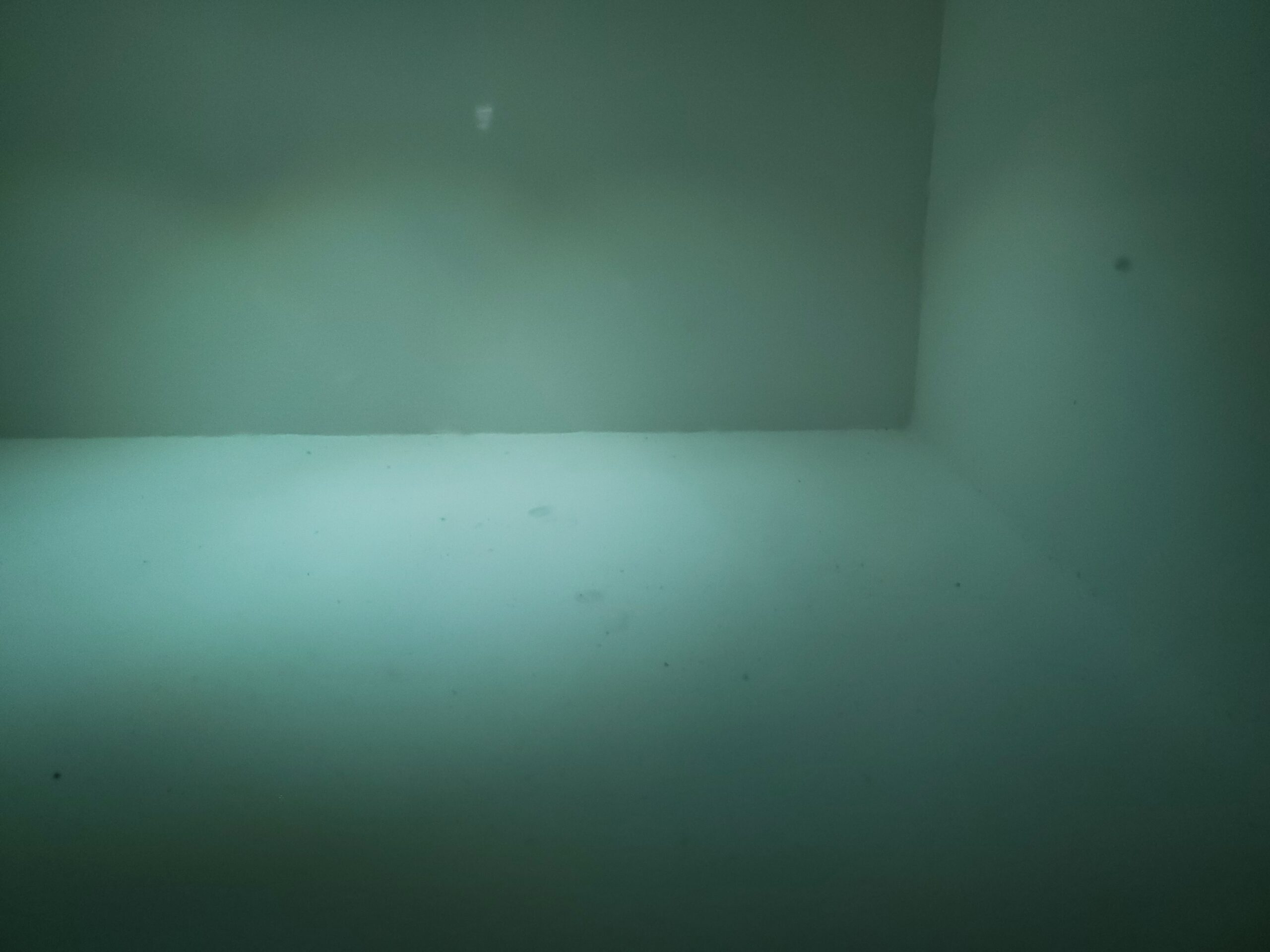 Featured image for “STEEL BLUE ARTIQUE”