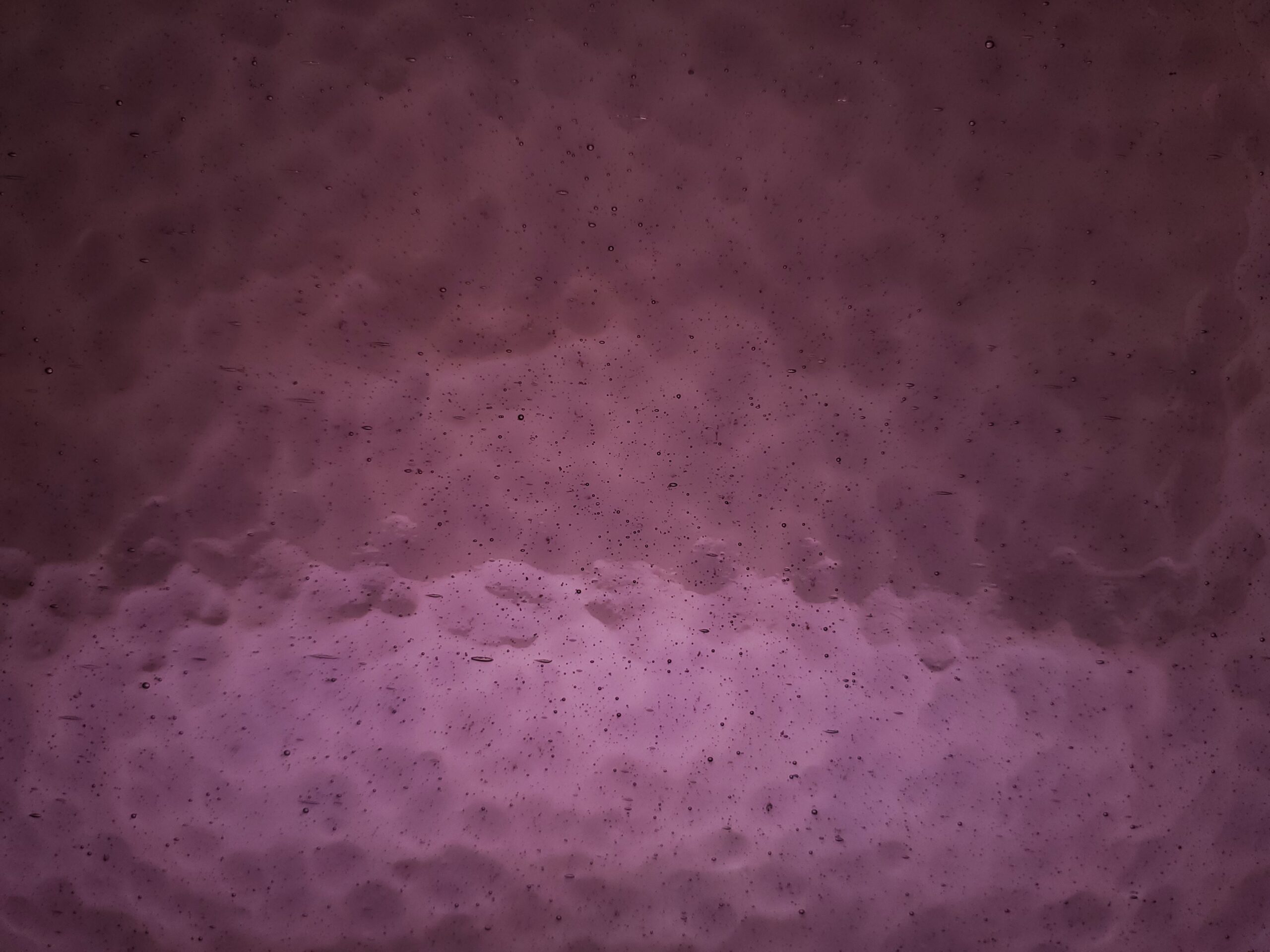 Featured image for “VIOLET CORELLA CLASSIC PW311VCC”