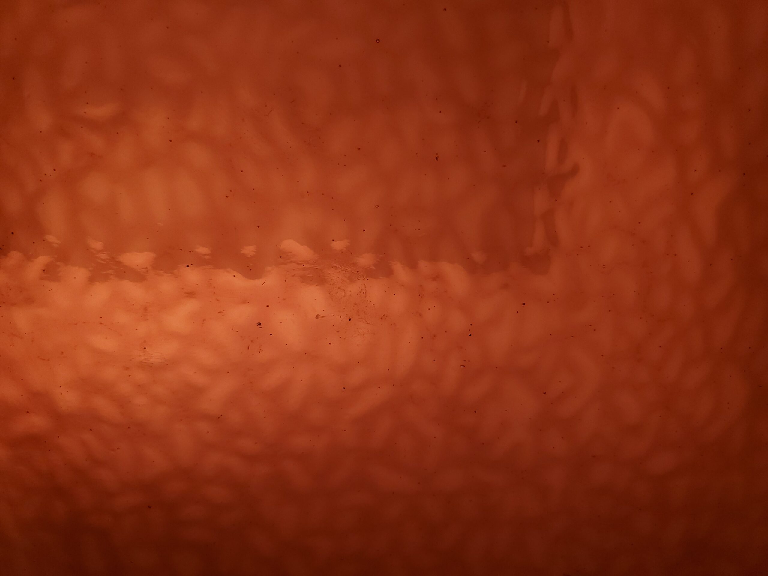 Featured image for “DUSKY ROSE ENGLISH MUFFLE EM4902”