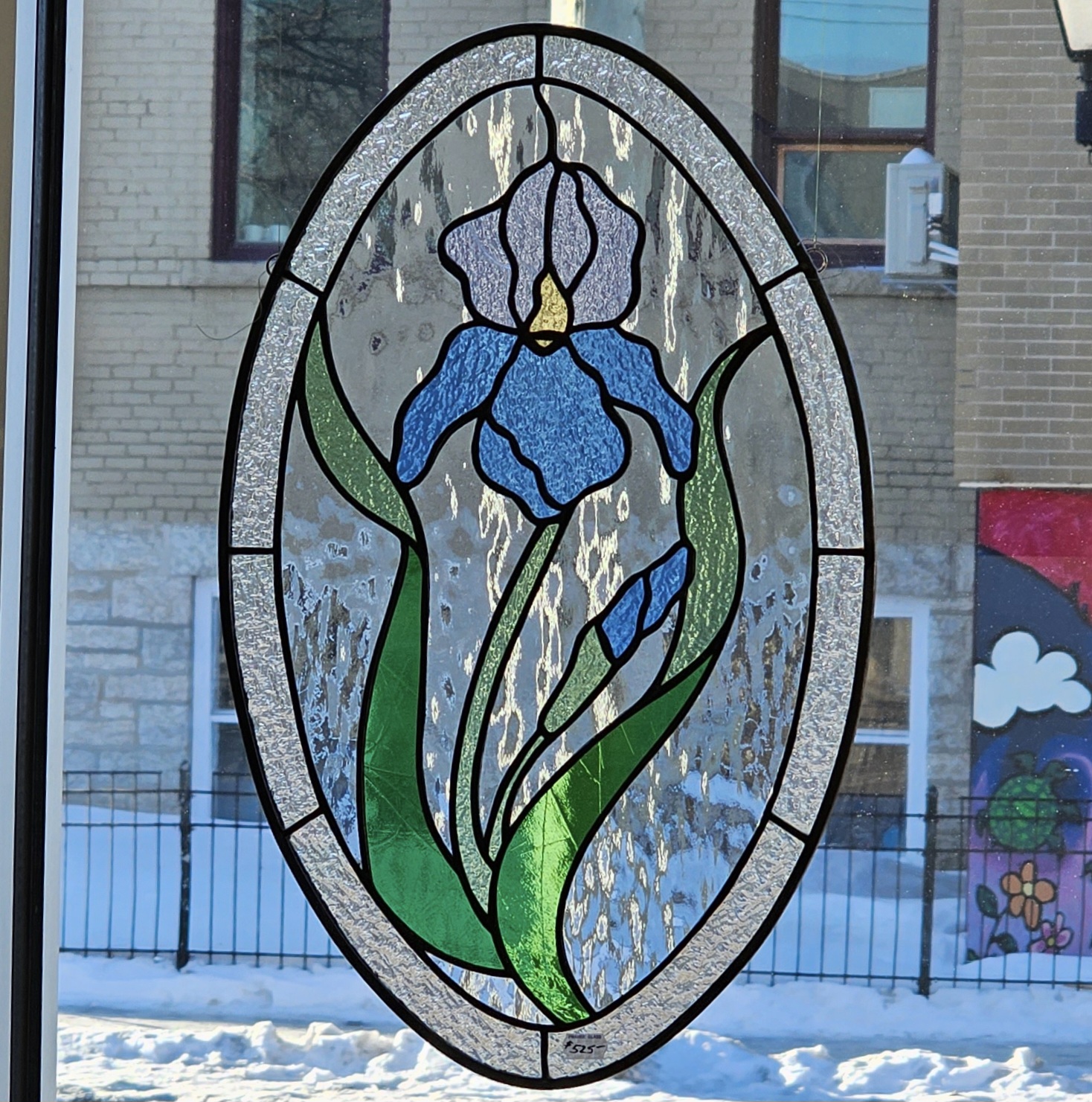Featured image for ““German Iris””