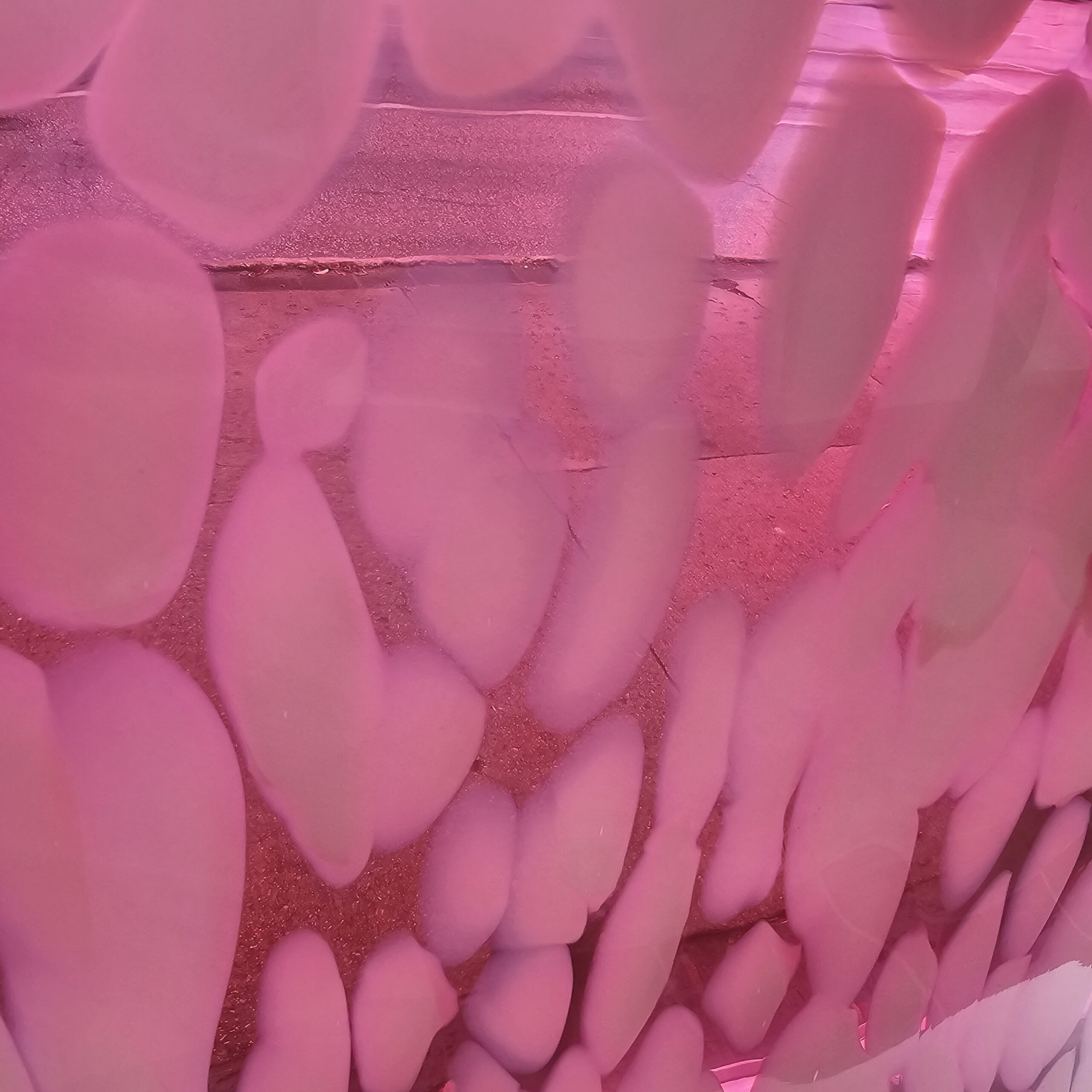 Featured image for “St.Just Pink and White Barioles”