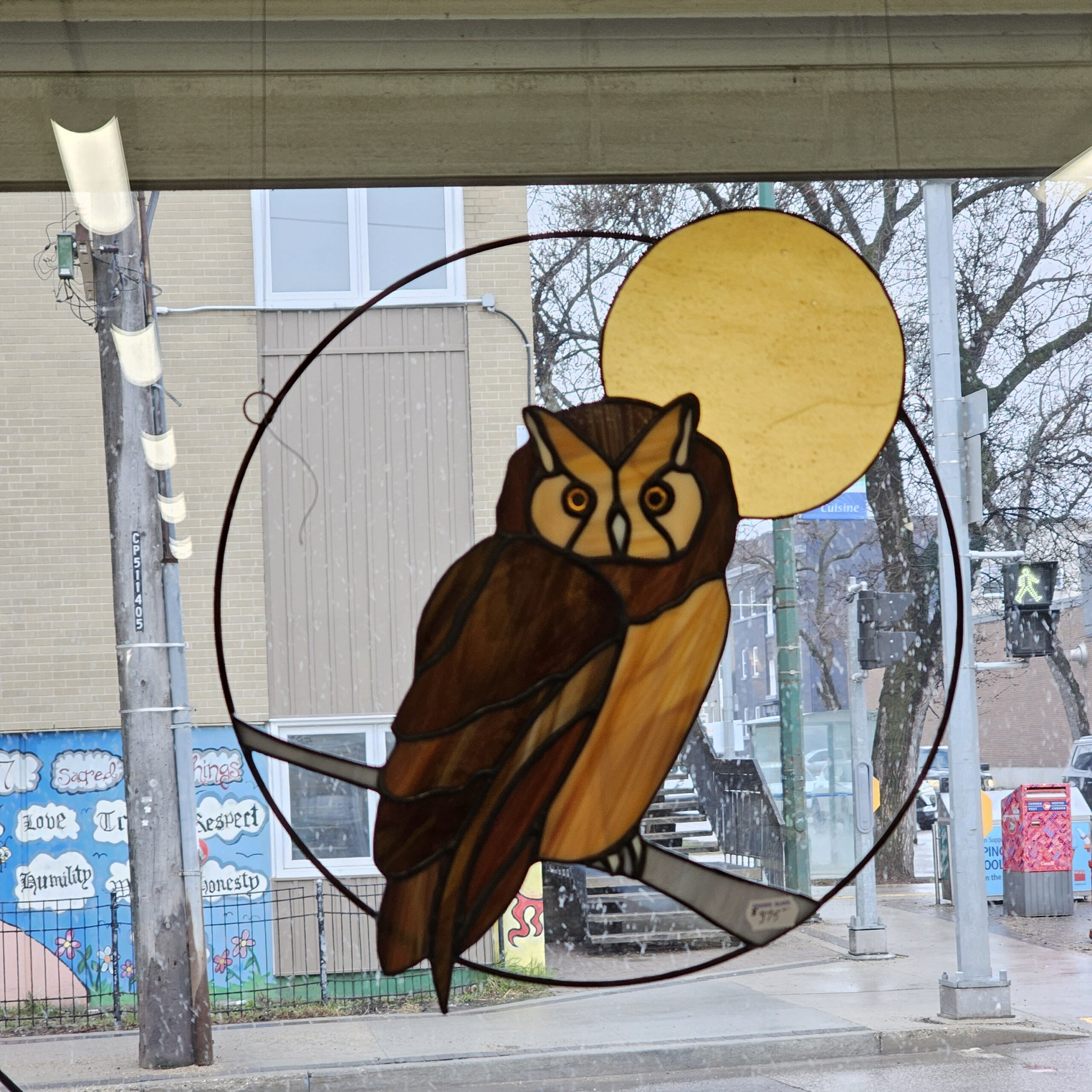Featured image for “Screech Owl”
