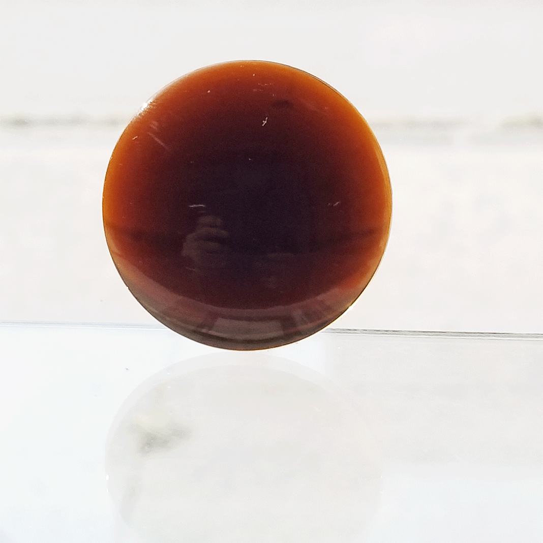 Featured image for “Amber Jewel”