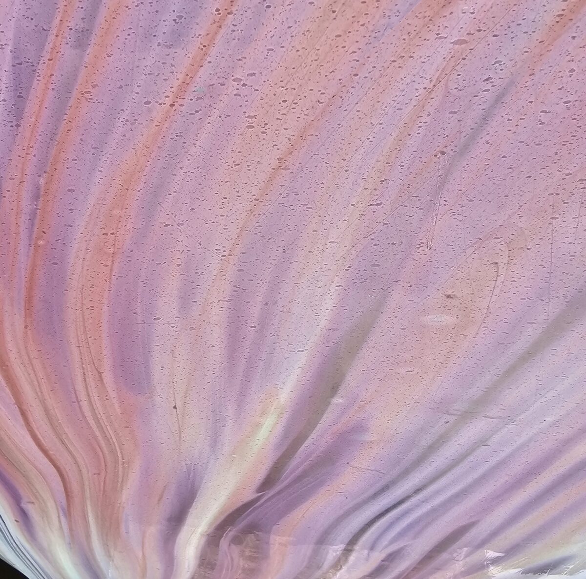 A.C. Fischer Pink and White Streaky - Image 2