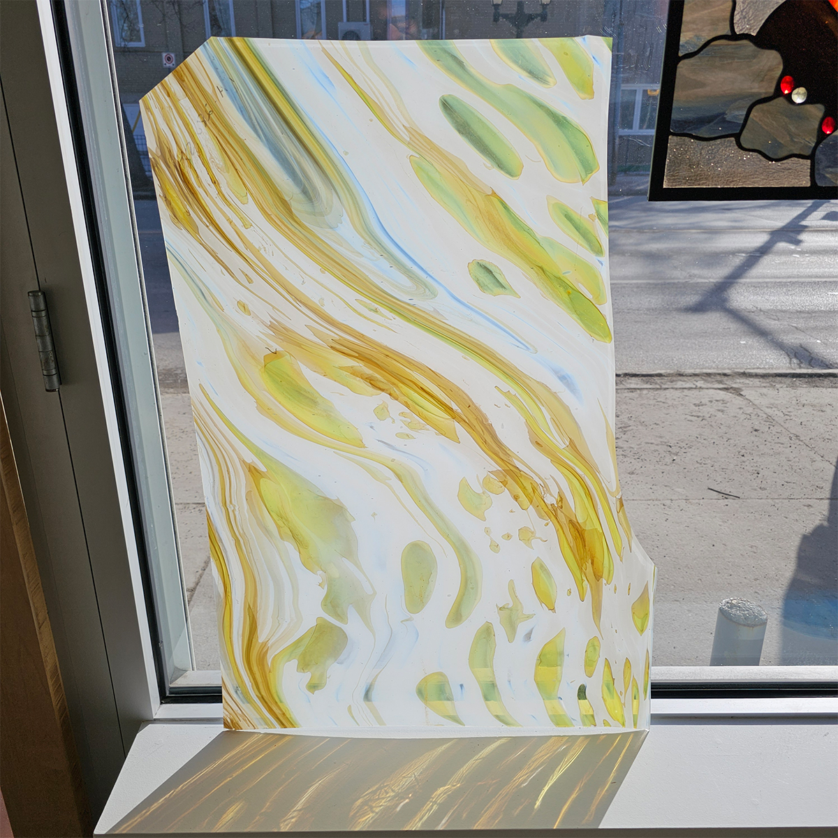 Featured image for “A.C. Fischer Yellow, Brown and White Streaky”