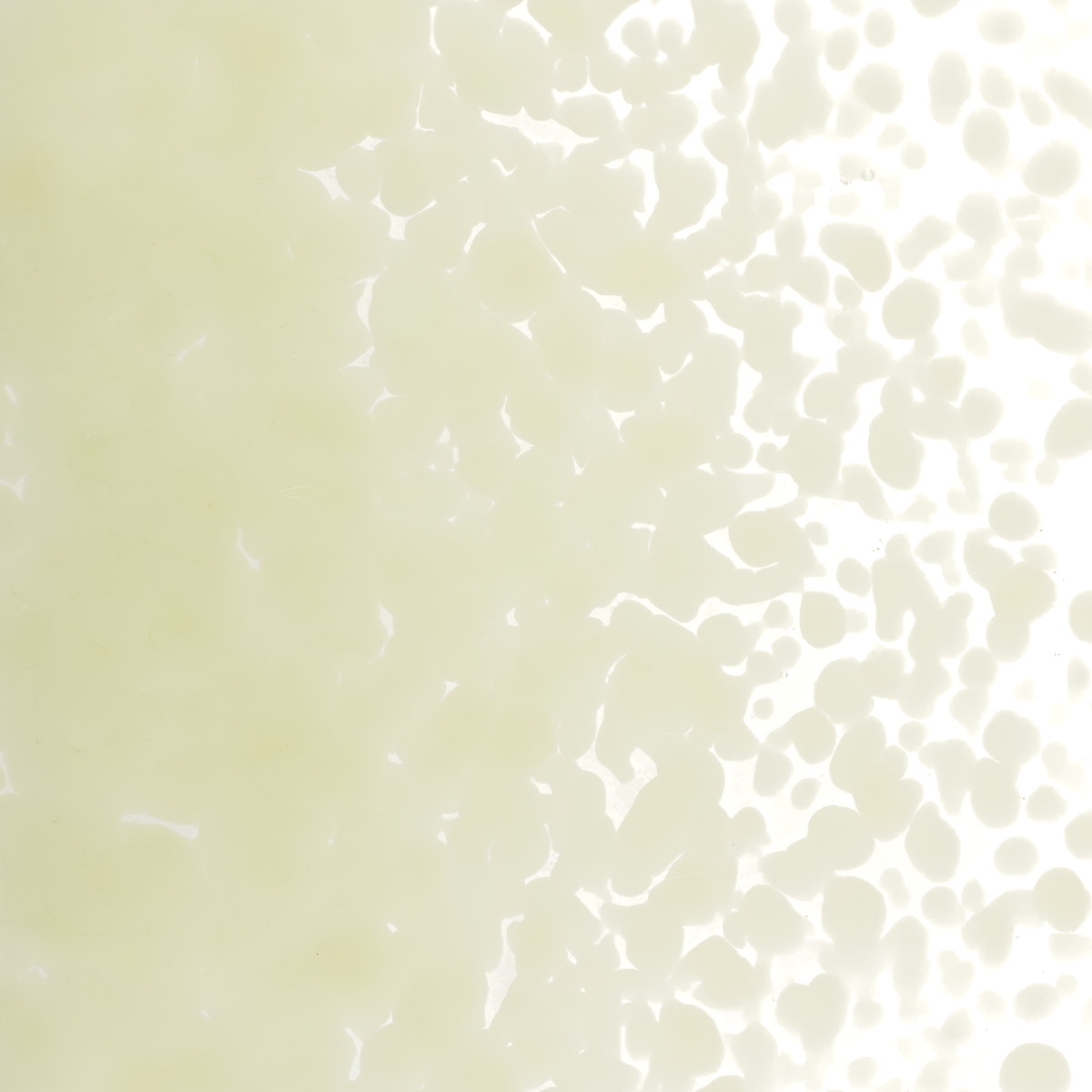 Featured image for “Artichoke Opalescent, Medium Frit 000131-0002-F_01”
