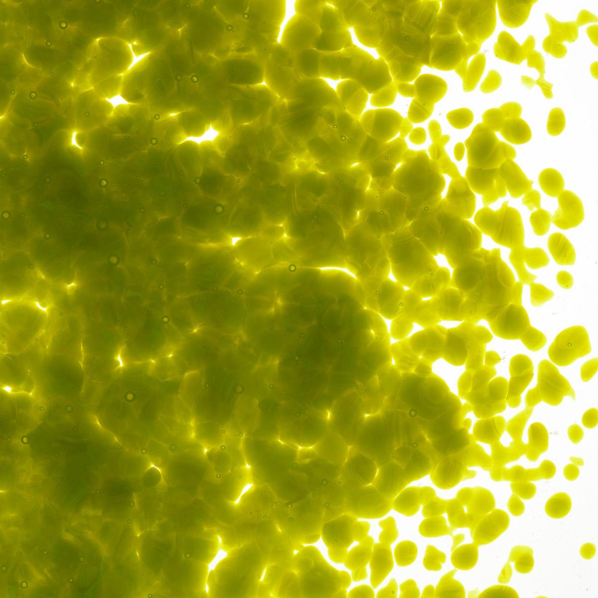 Featured image for “Avocado Green Opalescent, Medium Frit 000222-0002-F_01”