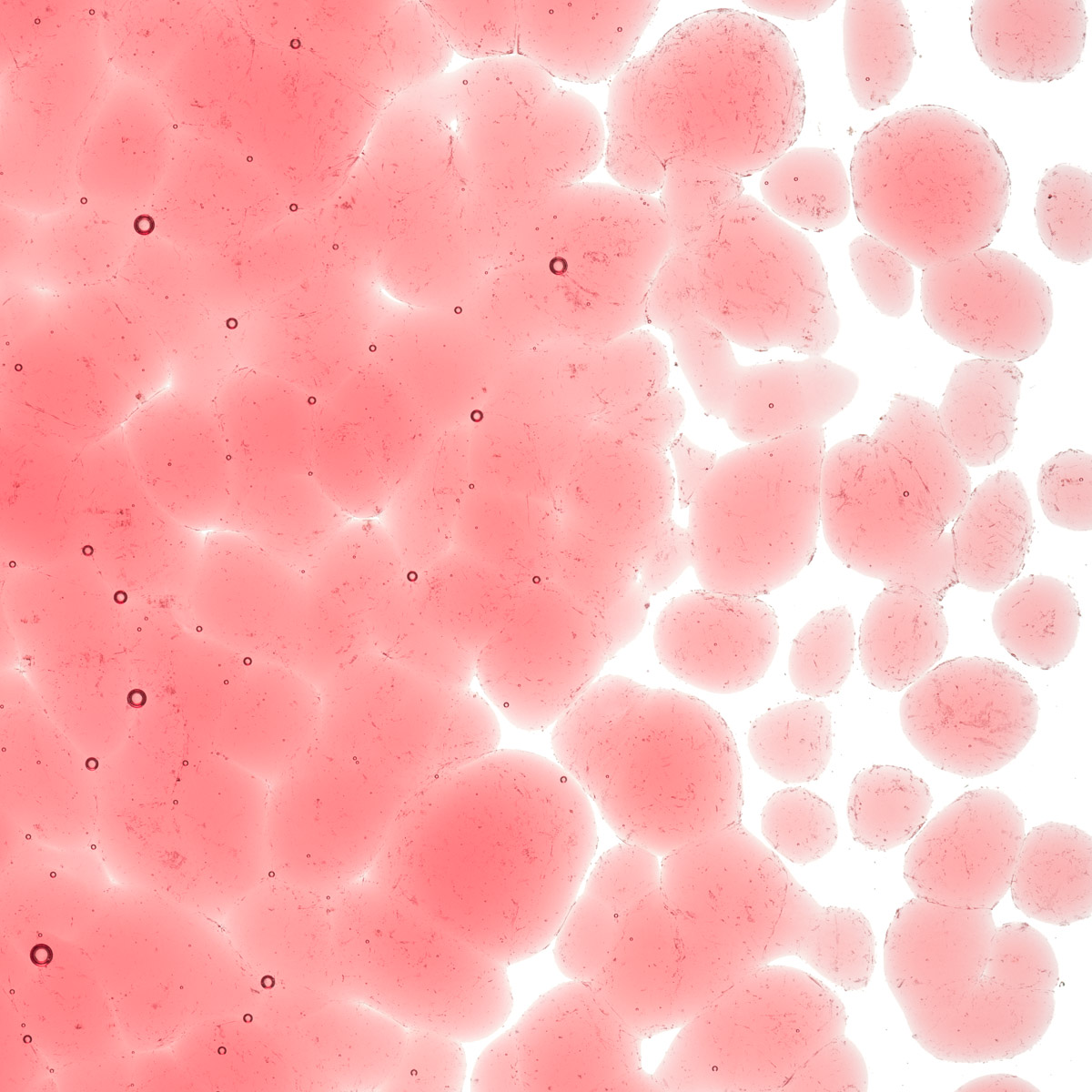 Featured image for “Burnt Scarlet Striker Tint, Coarse Frit 001823-0003-F_01”