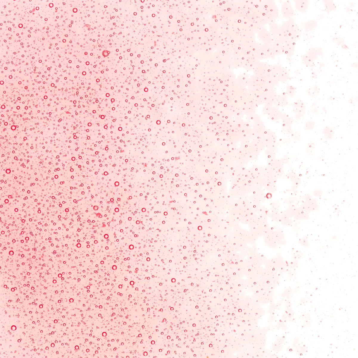 Featured image for “Burnt Scarlet Striker Tint, Fine Frit 001823-0001-F_01”