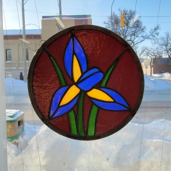 Featured image for “Canadian Wild Flower “Iris””