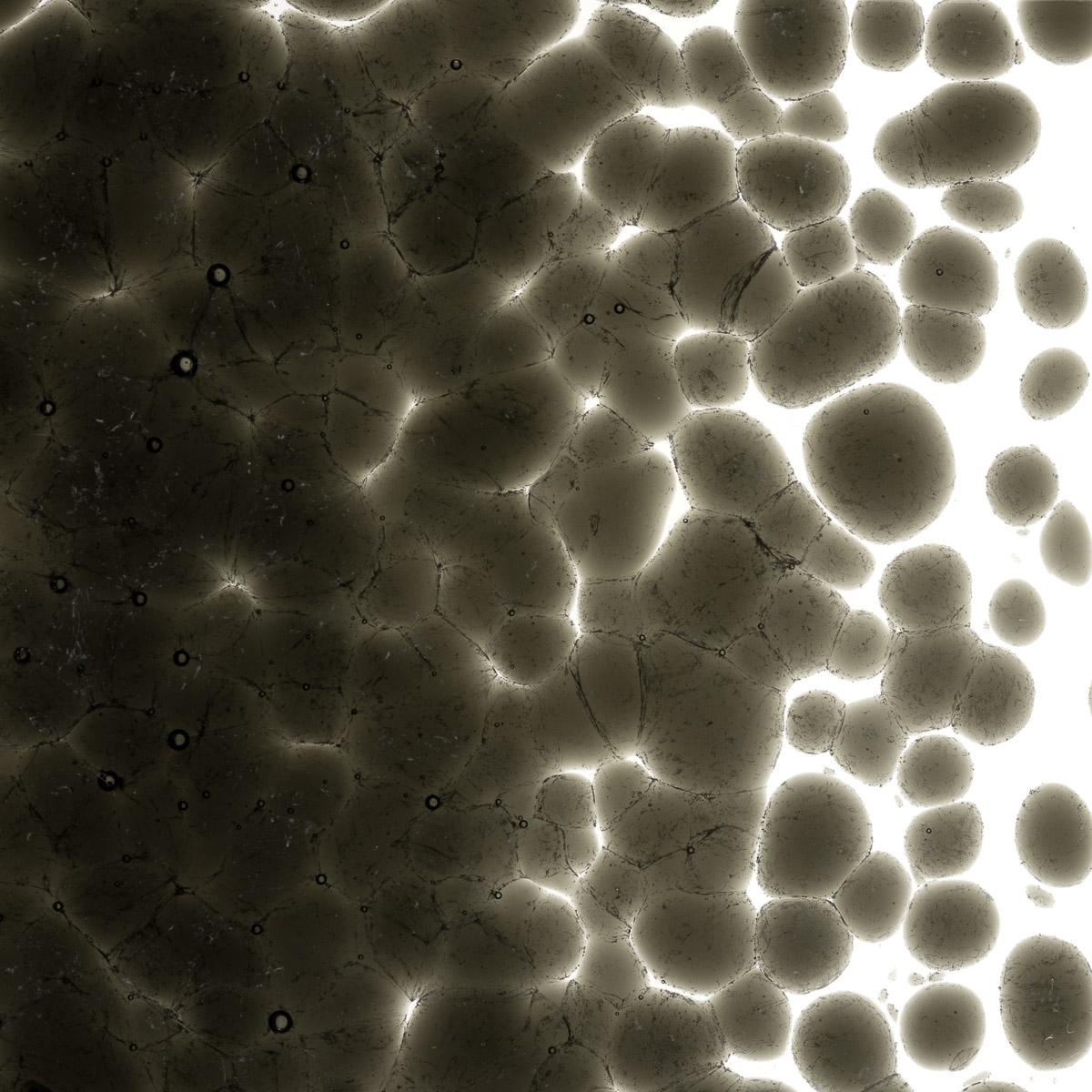Featured image for “Charcoal Gray Transparent, Coarse Frit 001129-0003-F_01”