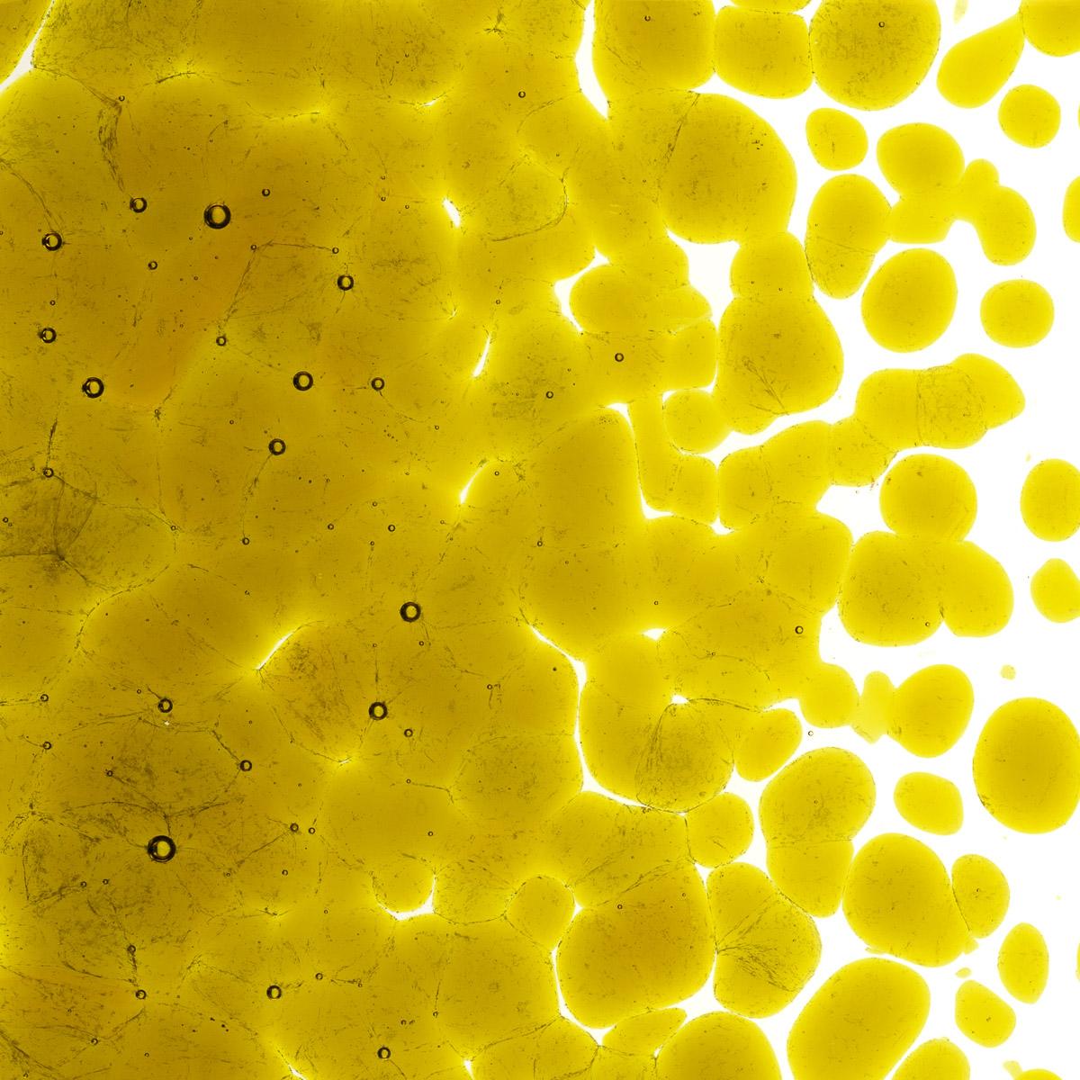 Featured image for “Chartreuse Transparent, Coarse Frit 001126-0003-F_01”