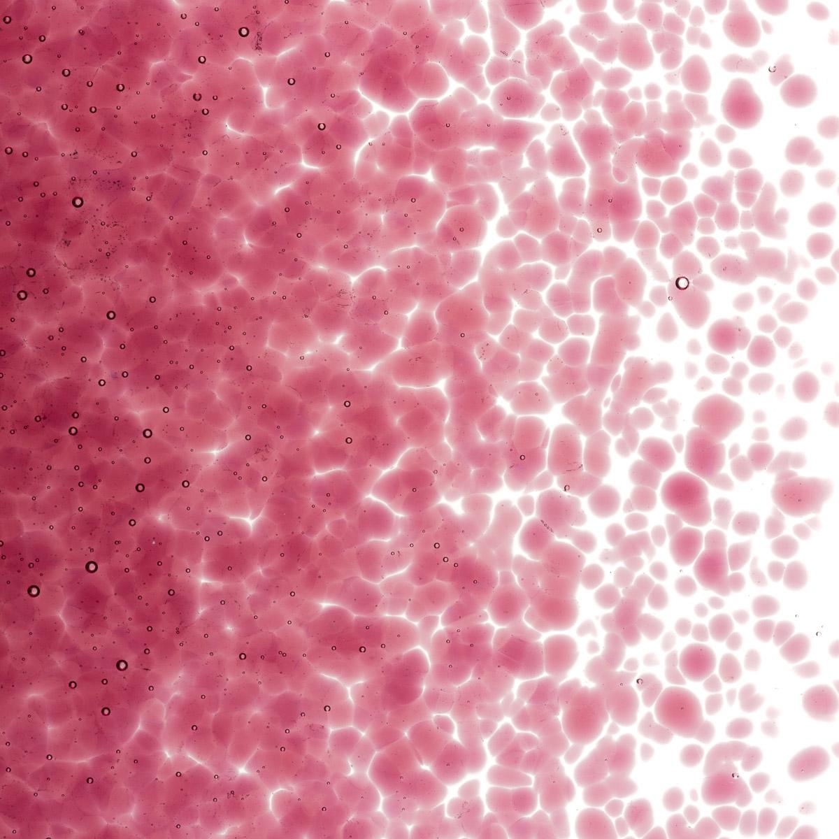 Featured image for “Cranberry Pink Transparent, Medium Frit 001311-0002-F_01”