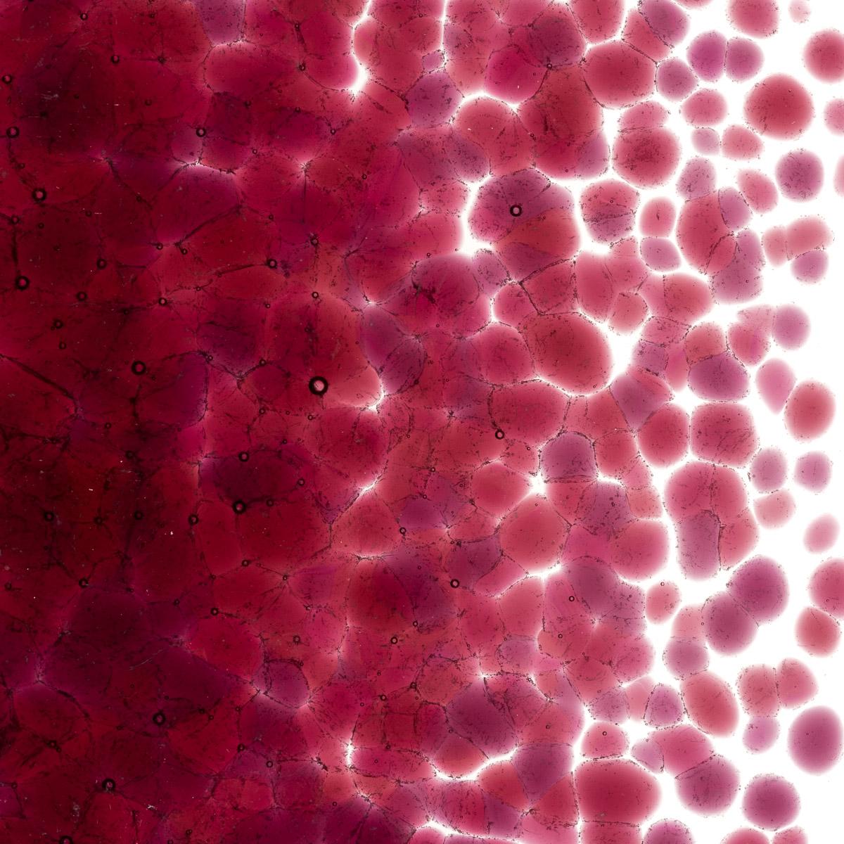 Featured image for “Cranberry Pink Transparent, Coarse Frit 001311-0003-F_01”