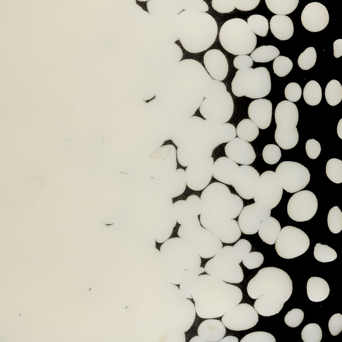 Featured image for “Cream Opalescent, Coarse Frit 000420-0003-F_01”