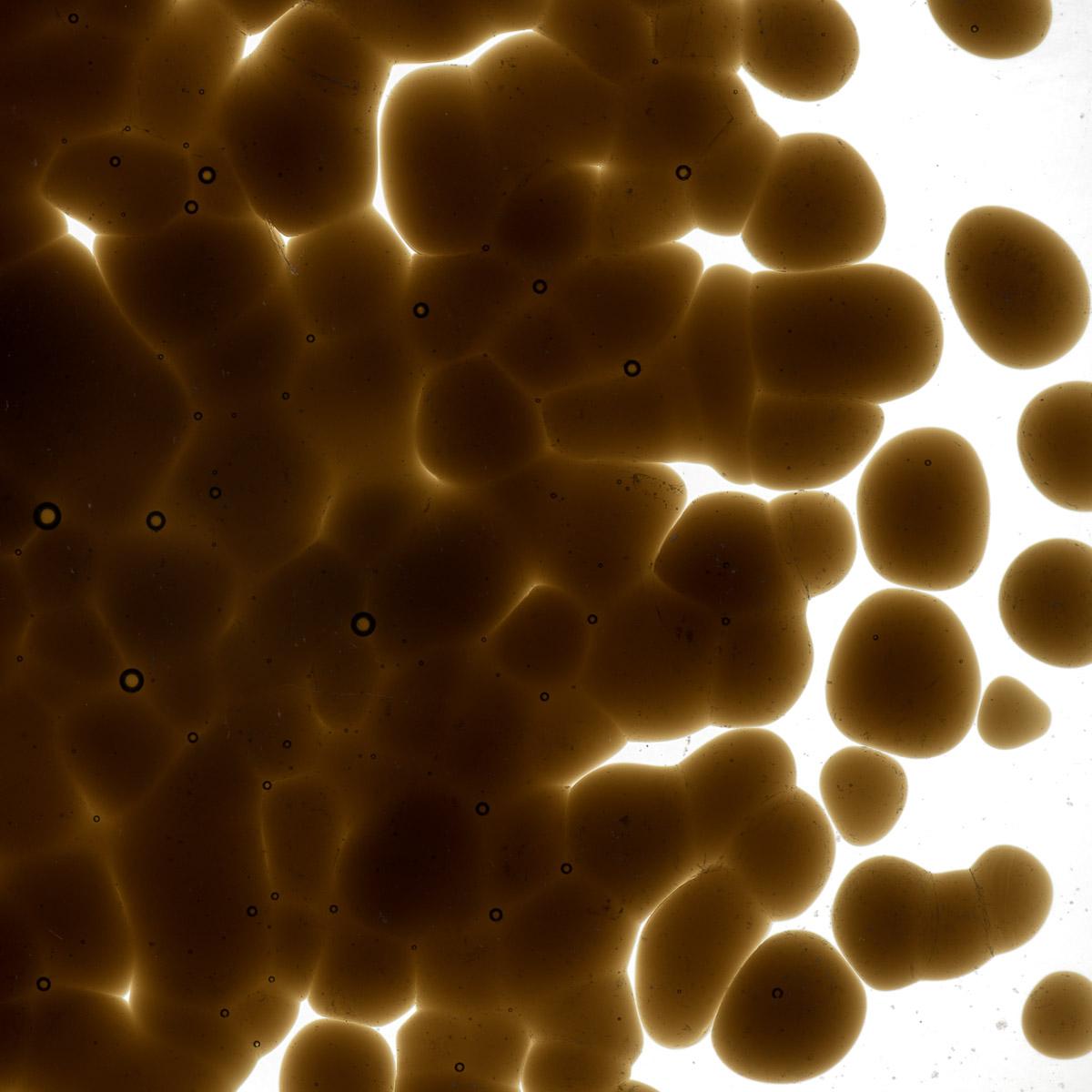 Featured image for “Dark Rose Brown Transparent, Coarse Frit 001109-0003–F-p005”