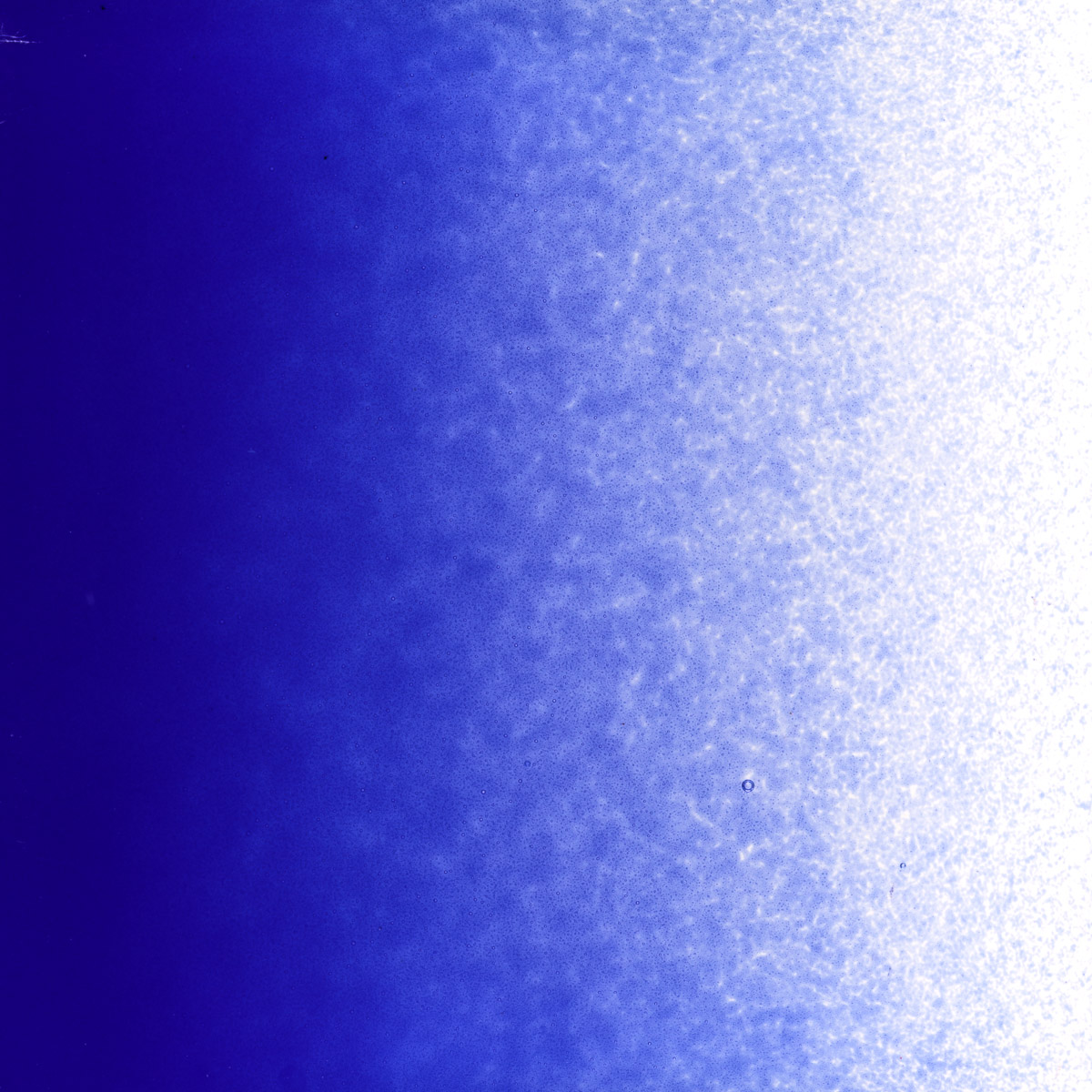 Featured image for “Deep Cobalt Blue Opalescent, Powder Frit 000147-0008-F_01”