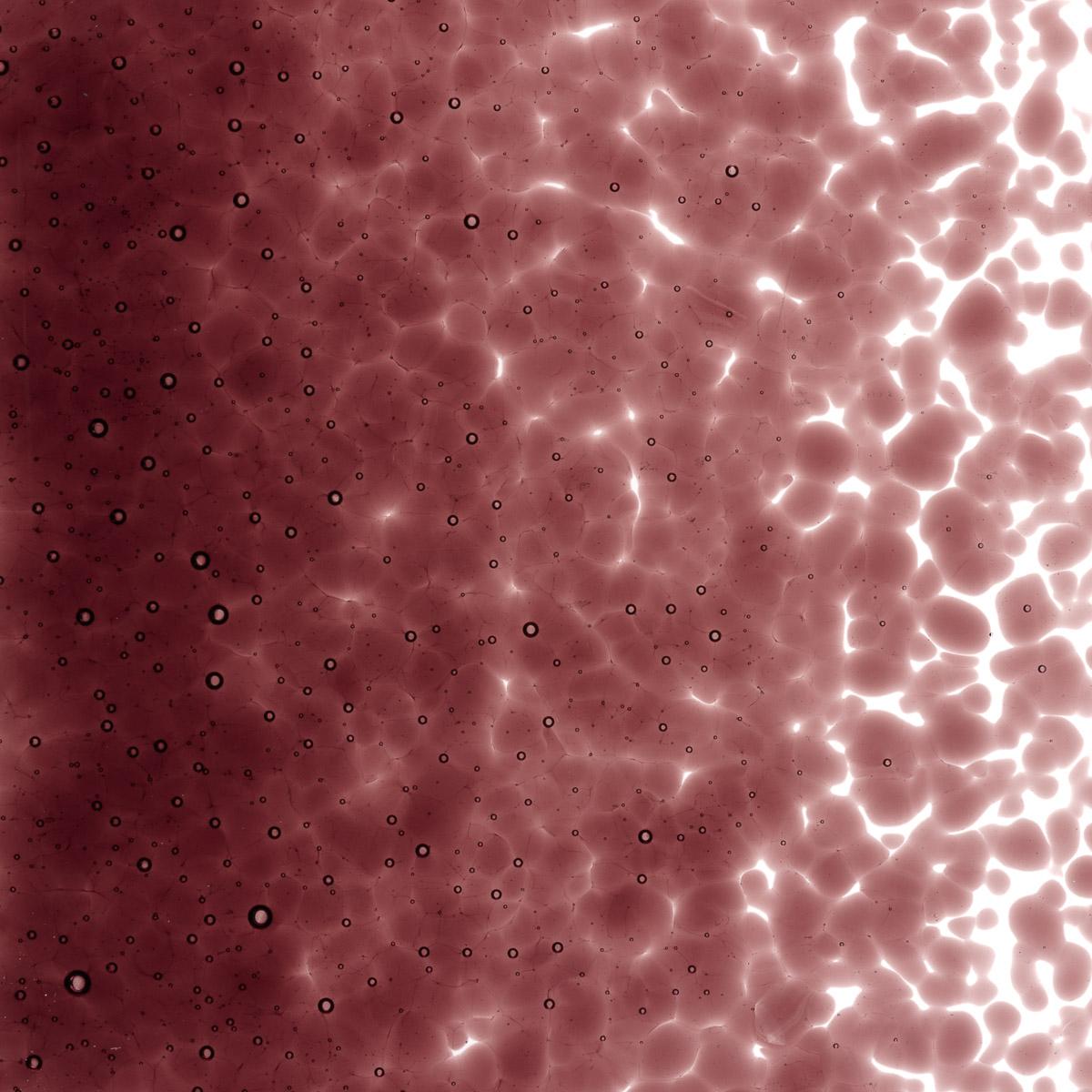 Featured image for “Deep Plum Transparent, Medium Frit 001105-0002-F_01”