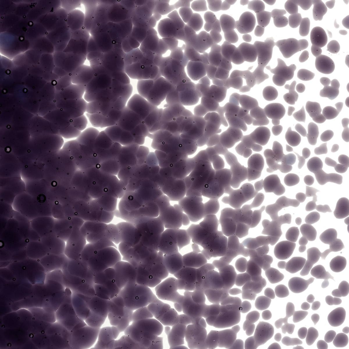 Featured image for “Deep Royal Purple Transparent, Medium Frit 001128-0002-F_01”