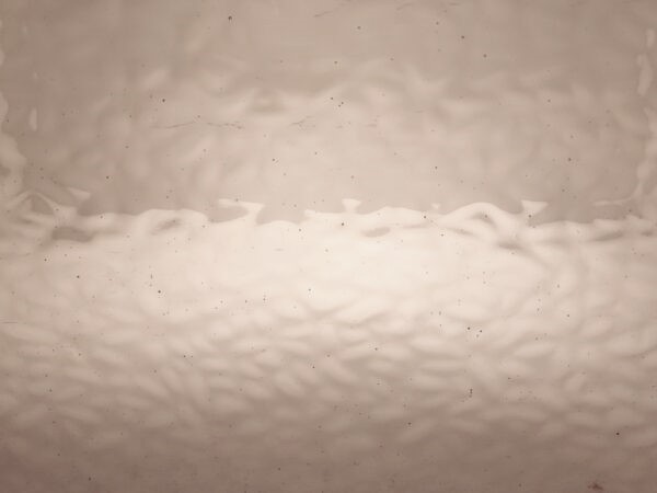 Featured image for “LONDON FOG ENGLISH MUFFLE EM4911”