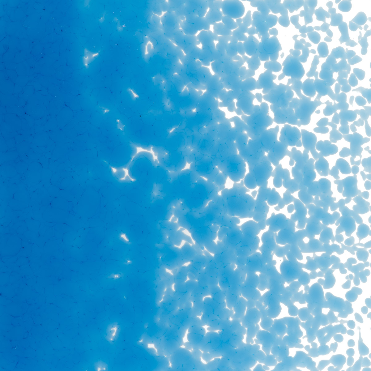 Featured image for “Egyptian Blue Opalescent, Medium Frit 000164-0002-F_01”