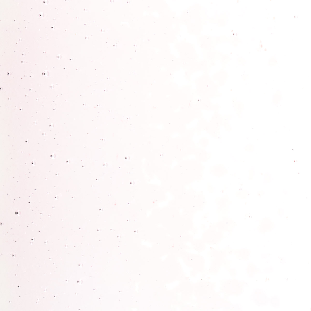Featured image for “Erbium Pink Tint, Medium Frit 001821-0002-F_01”
